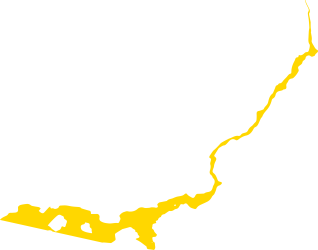 Línea_2