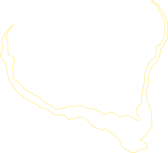 Línea_5